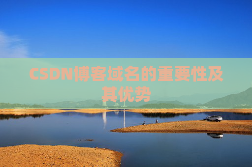 CSDN博客域名的重要性及其优势